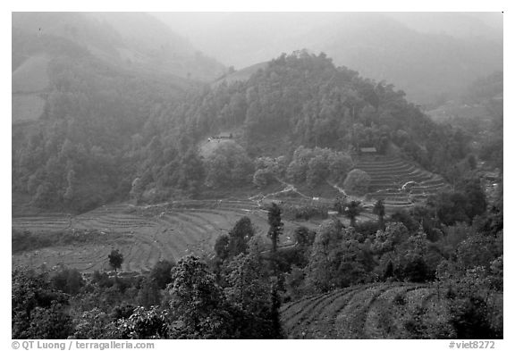 Morning fog on terraced rice fields and village. Sapa, Vietnam (black and white)