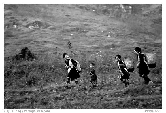 Hmong women back from the fields. The back basket is typically used by mountain tribes. Sapa, Vietnam (black and white)