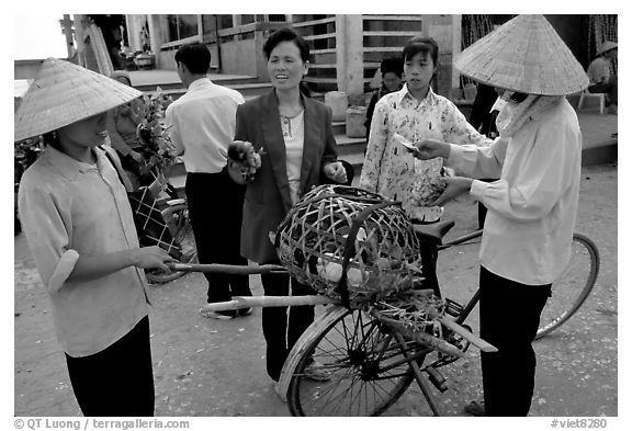 Buying live birds. Sapa, Vietnam (black and white)