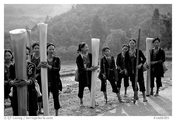 Ethnic minority women carrying banana trunks. Vietnam