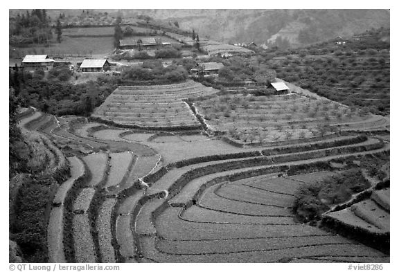 Dry terraced hills and village. Bac Ha, Vietnam