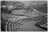 Dry terraced hills and village. Bac Ha, Vietnam (black and white)