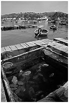 Fish cage in a small village in the Nha Trang bay. Vietnam (black and white)