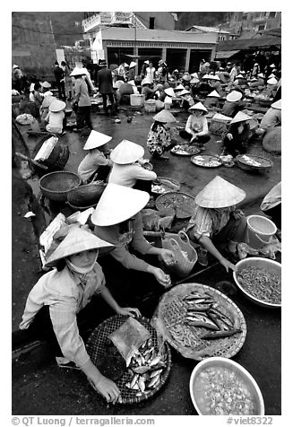 Fish market, Hong Gai. Halong Bay, Vietnam