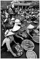 Fish market, Hong Gai. Halong Bay, Vietnam (black and white)