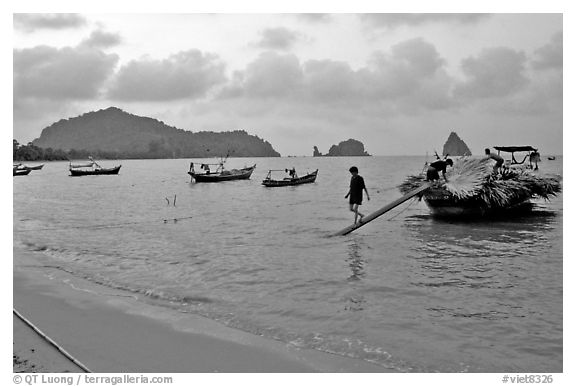 Preparing to unload leaves. Hong Chong Peninsula, Vietnam (black and white)