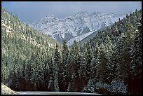 Snowy forest and mountains in storm light seen from the road. Banff National Park, Canadian Rockies, Alberta, Canada (color)