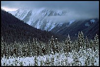 Trees, mountains and clouds. Banff National Park, Canadian Rockies, Alberta, Canada