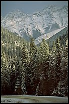 Snowy forest and mountains in storm light seen from the road. Banff National Park, Canadian Rockies, Alberta, Canada ( color)