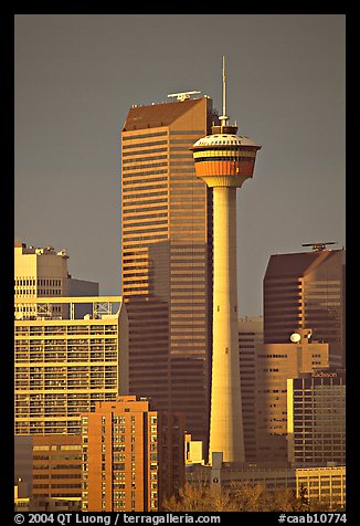 Calgary tower and skyline, late afternoon. Calgary, Alberta, Canada