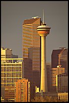 Calgary tower and skyline, late afternoon. Calgary, Alberta, Canada (color)