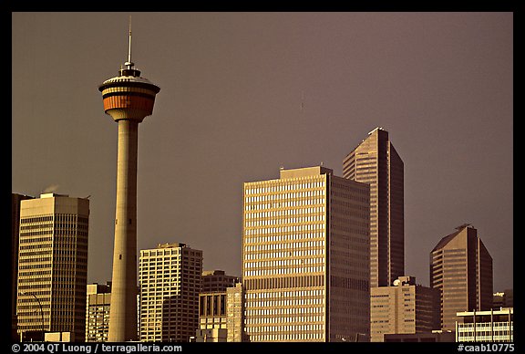 Calgary tower and skyline, late afternoon. Calgary, Alberta, Canada