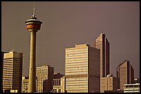 Calgary tower and skyline, late afternoon. Calgary, Alberta, Canada ( color)