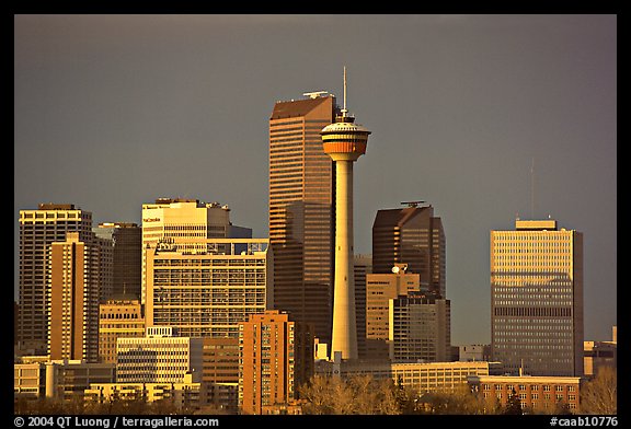 Skyline and tower, late afternoon. Calgary, Alberta, Canada