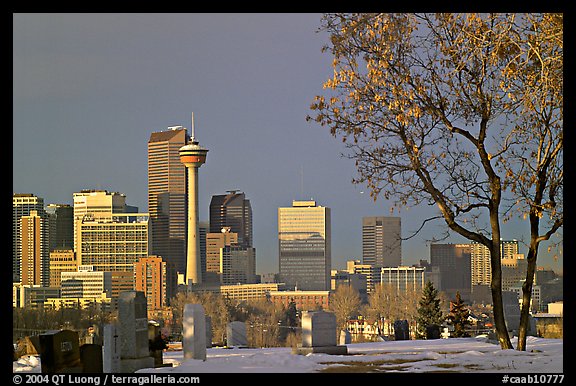 Calgary skyline seen from the cemetery in winter. Calgary, Alberta, Canada