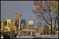 Calgary skyline seen from the cemetery in winter. Calgary, Alberta, Canada