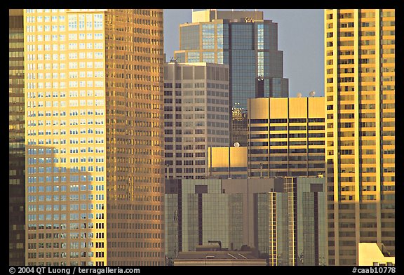 High-rise buildings. Calgary, Alberta, Canada