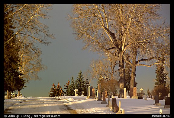 Cemetery in winter. Calgary, Alberta, Canada (color)