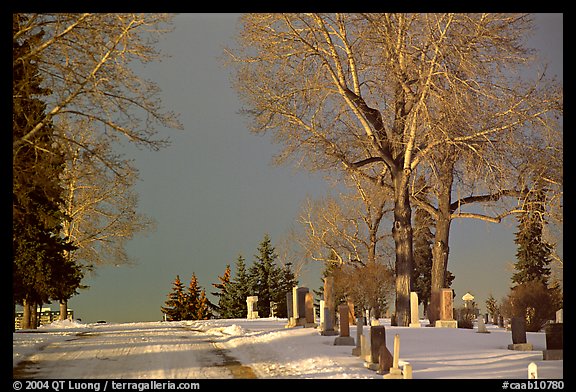 Cemetery in winter. Calgary, Alberta, Canada