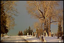 Cemetery in winter. Calgary, Alberta, Canada (color)