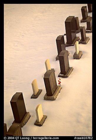 Tombstones in snow. Calgary, Alberta, Canada