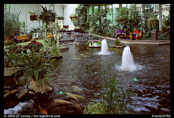 Indoor pond and garden. Calgary, Alberta, Canada (color)