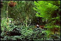 Indoor garden. Calgary, Alberta, Canada (color)