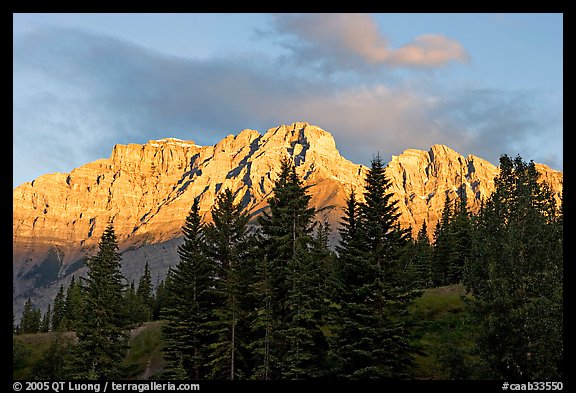 Peaks and conifers near Two Jack Lake, sunrise. Banff National Park, Canadian Rockies, Alberta, Canada