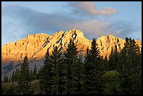 Peaks and conifers near Two Jack Lake, sunrise. Banff National Park, Canadian Rockies, Alberta, Canada