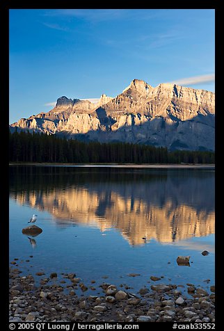 Mount Rundle reflected in Two Jack Lake, early morning. Banff National Park, Canadian Rockies, Alberta, Canada