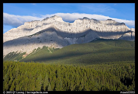 Conifer forest and limestone peaks near Lake Minnewanka, morning. Banff National Park, Canadian Rockies, Alberta, Canada