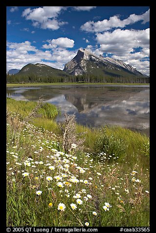 First Vermillon Lake and Mt Rundle, afternoon. Banff National Park, Canadian Rockies, Alberta, Canada (color)