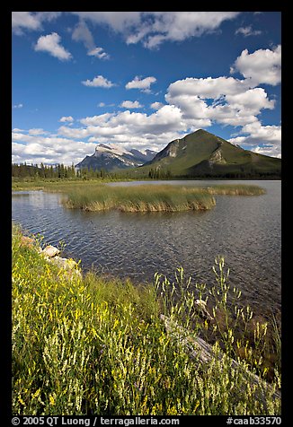 Mt Rundle and second Vermillion lake, afternoon. Banff National Park, Canadian Rockies, Alberta, Canada (color)