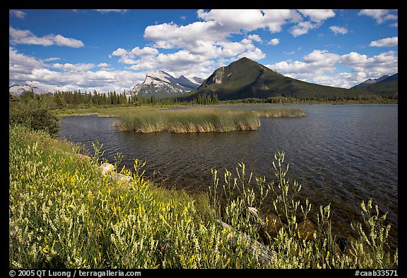 Mt Rundle and second Vermillion lake, afternoon. Banff National Park, Canadian Rockies, Alberta, Canada (color)