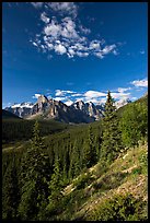 Valley of Ten Peaks, early morning. Banff National Park, Canadian Rockies, Alberta, Canada (color)