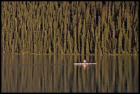 Rower on Lake Louise with forest reflection, early morning. Banff National Park, Canadian Rockies, Alberta, Canada (color)