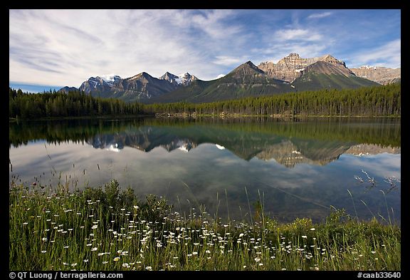 Herbert Lake and the Bow range, morning. Banff National Park, Canadian Rockies, Alberta, Canada (color)