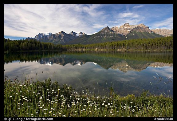 Herbert Lake and the Bow range, morning. Banff National Park, Canadian Rockies, Alberta, Canada