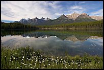 Herbert Lake and the Bow range, morning. Banff National Park, Canadian Rockies, Alberta, Canada (color)