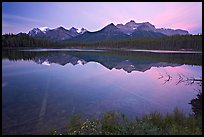 Bow range reflected in Herbert Lake, dawn. Banff National Park, Canadian Rockies, Alberta, Canada