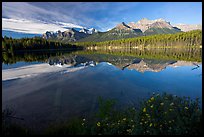 Bow range reflected in Herbert Lake, early morning. Banff National Park, Canadian Rockies, Alberta, Canada