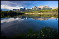 Bow range reflected in Herbert Lake, early morning. Banff National Park, Canadian Rockies, Alberta, Canada (color)