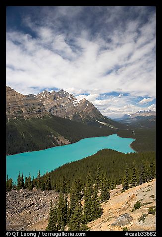 Peyto Lake, turquoise-colored by glacial flour, mid-day. Banff National Park, Canadian Rockies, Alberta, Canada (color)