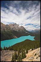 Peyto Lake, turquoise-colored by glacial flour, mid-day. Banff National Park, Canadian Rockies, Alberta, Canada (color)