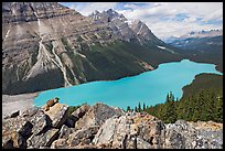 Marmot sitting on a boulder above Peyto Lake. Banff National Park, Canadian Rockies, Alberta, Canada