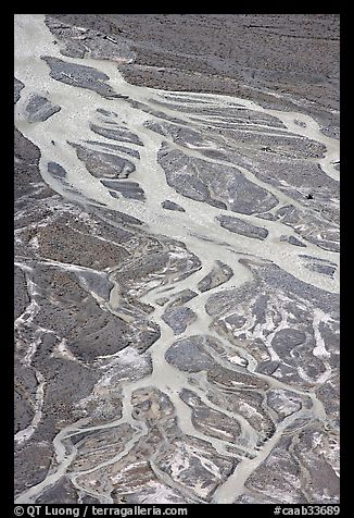 Braided stream on glacial flat near Peyto Lake. Banff National Park, Canadian Rockies, Alberta, Canada