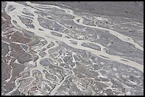 Braided stream on glacial flat near Peyto Lake. Banff National Park, Canadian Rockies, Alberta, Canada (color)