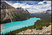 Peyto Lake, with waters colored turquoise by glacial sediments, mid-day. Banff National Park, Canadian Rockies, Alberta, Canada