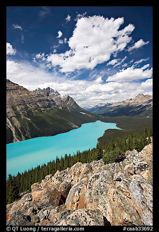 Turquoise Peyto Lake. Banff National Park, Canadian Rockies, Alberta, Canada (color)
