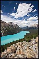 Turquoise Peyto Lake. Banff National Park, Canadian Rockies, Alberta, Canada (color)